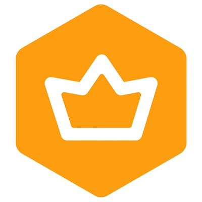 【自动充值】WPS普通会员『12个月』